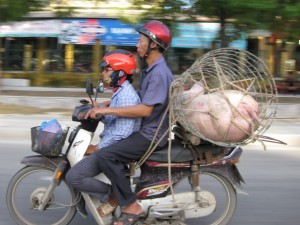 10-08-25-thaibinh-vietnam-001