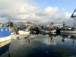 11-06-19-fehmarn